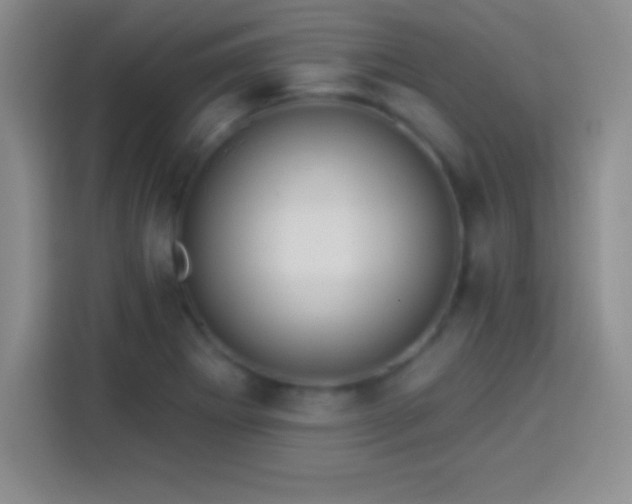 X0000113921273200910011505