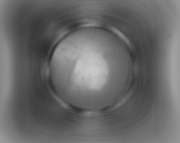 X0000113921274200910011505