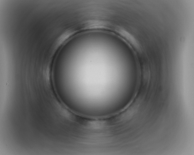 X0000113921277200910011505