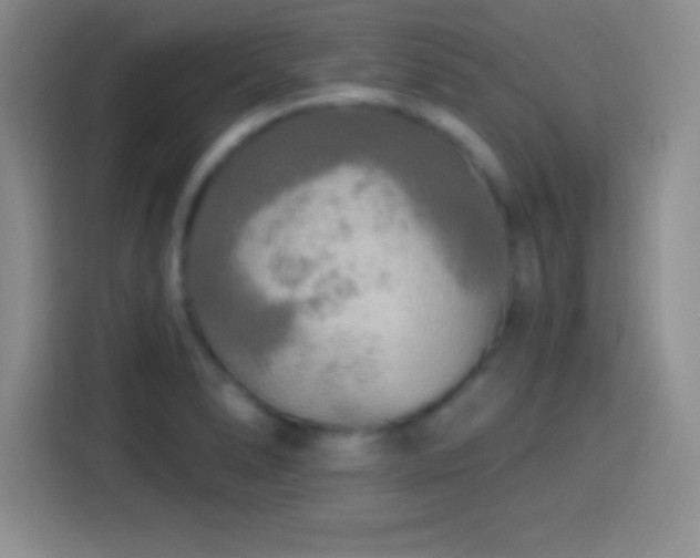 X0000113921278200910011505