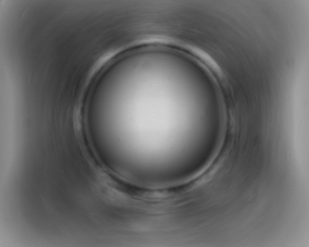 X0000113921279200910011505