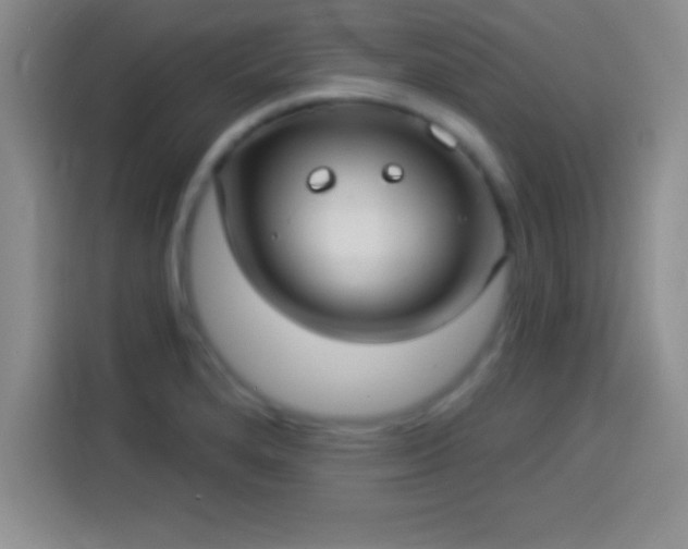 X0000113921280200910011505