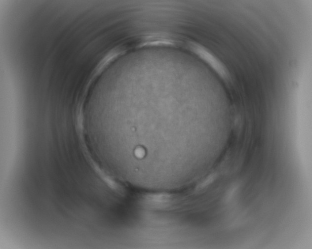 X0000113921282200910011505