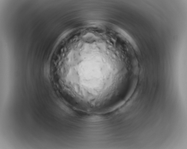 X0000113921283200910011505