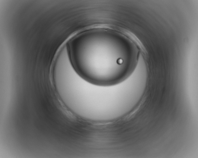 X0000113921284200910011505