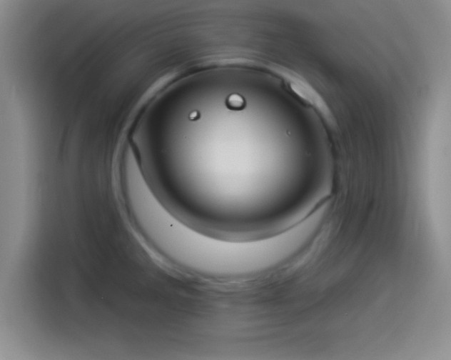 X0000113921285200910011504