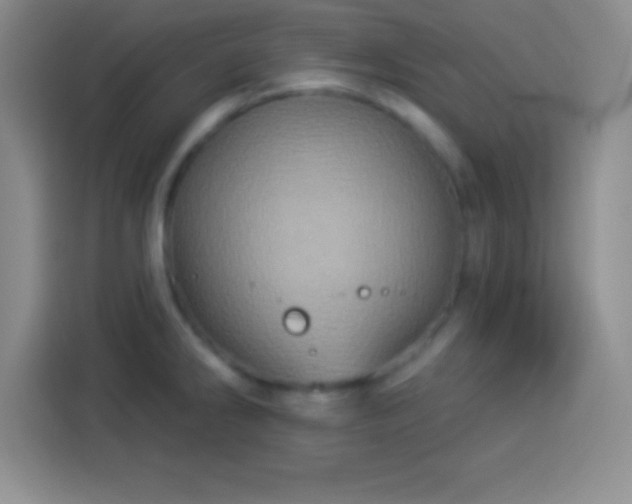 X0000113921286200910011504