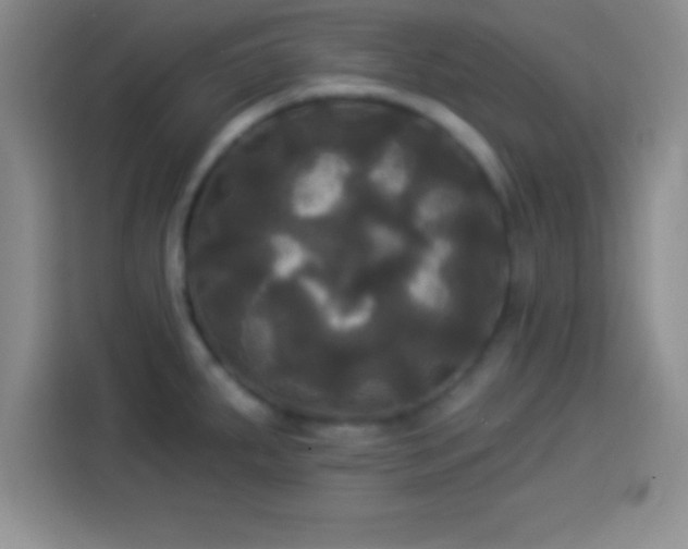 X0000113921287200910011504