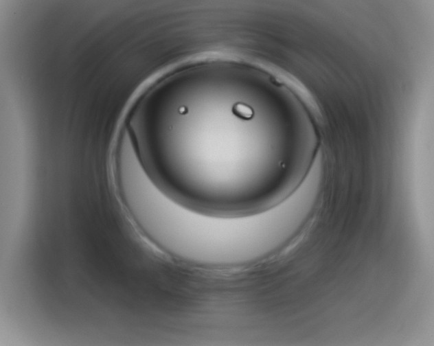 X0000113921288200910011504