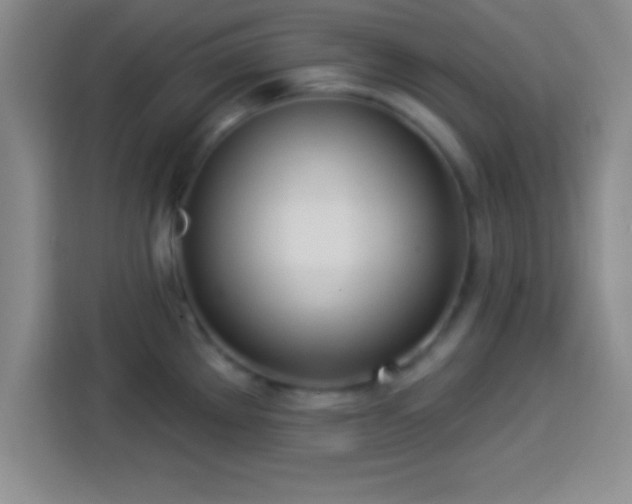 X0000113921289200910011504