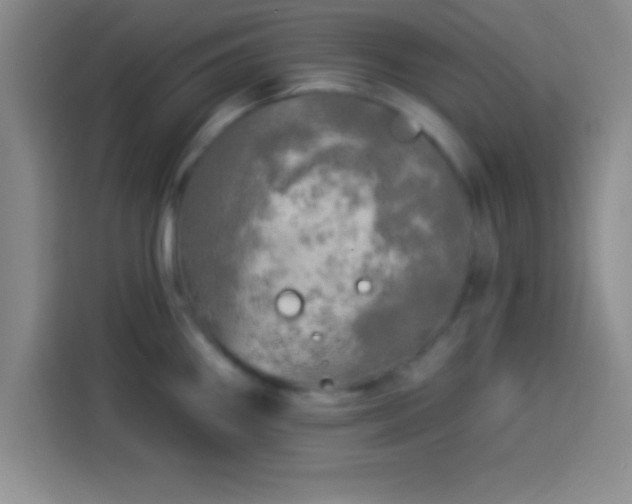 X0000113921290200910011504