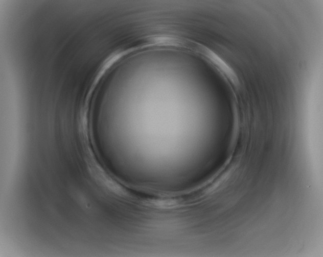 X0000113921291200910011504