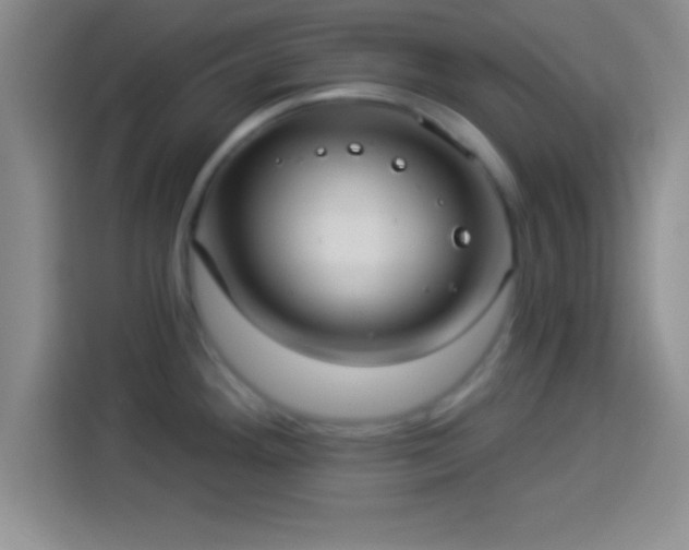 X0000113921292200910011504