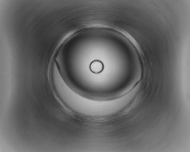 X0000113921293200910011504