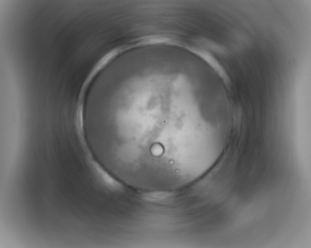 X0000113921294200910011504