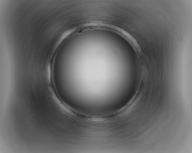 X0000113921295200910011504