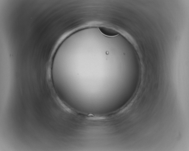 X0000113921296200910011504