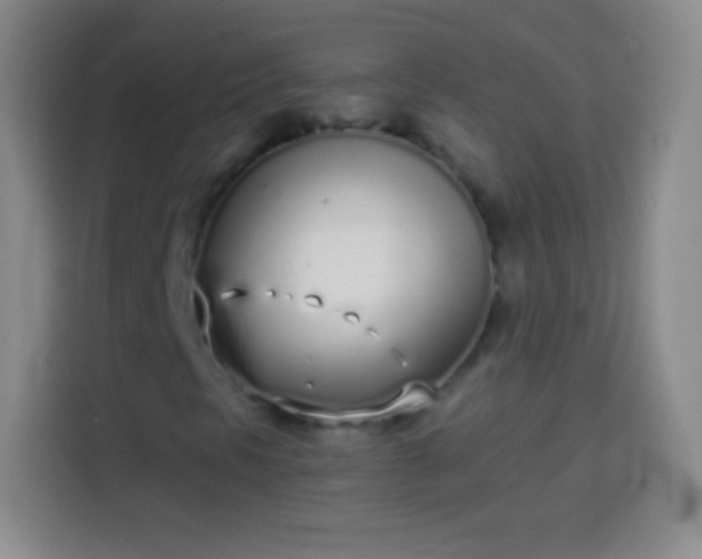 X0000113921297200910011504