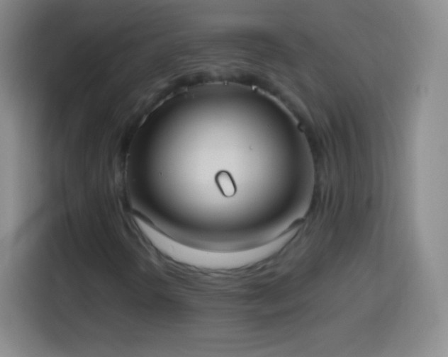 X0000113921298200910011504