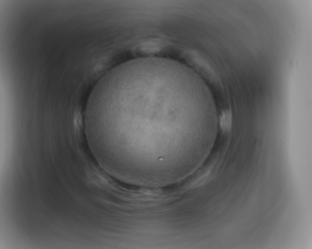 X0000113921299200910011504