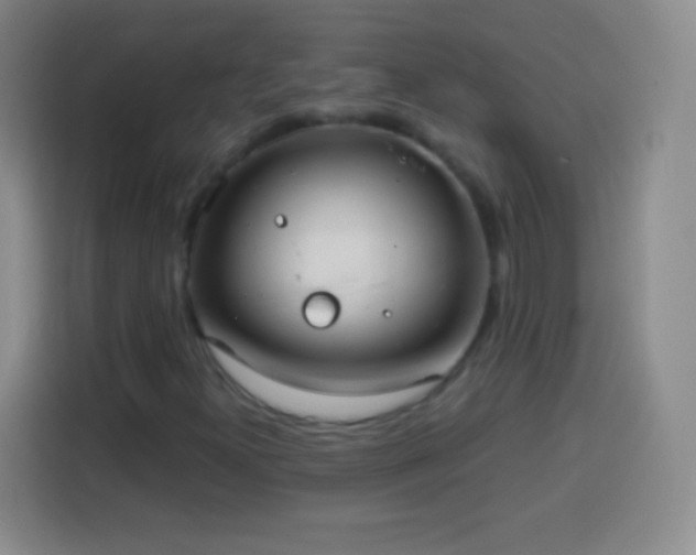 X0000113921300200910011504