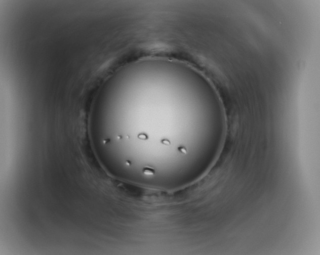 X0000113921301200910011504