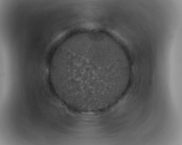 X0000113921302200910011504