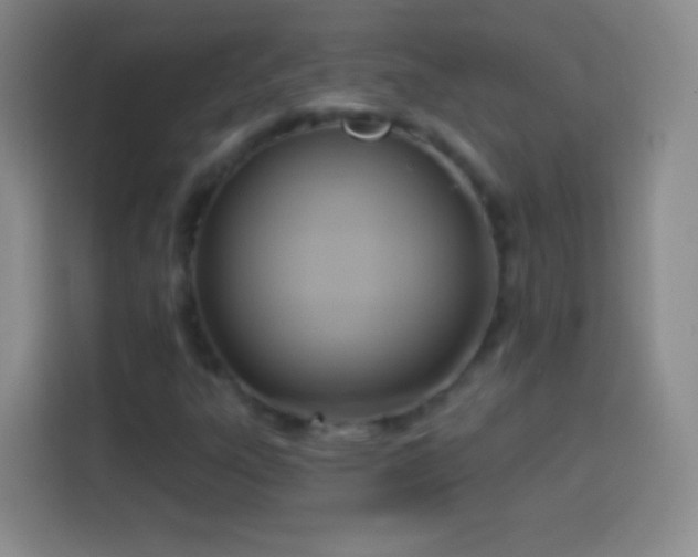 X0000113921303200910011504