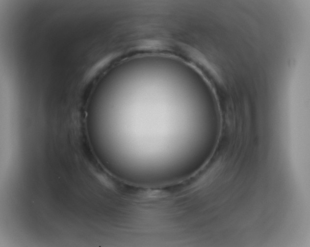 X0000113921304200910011504