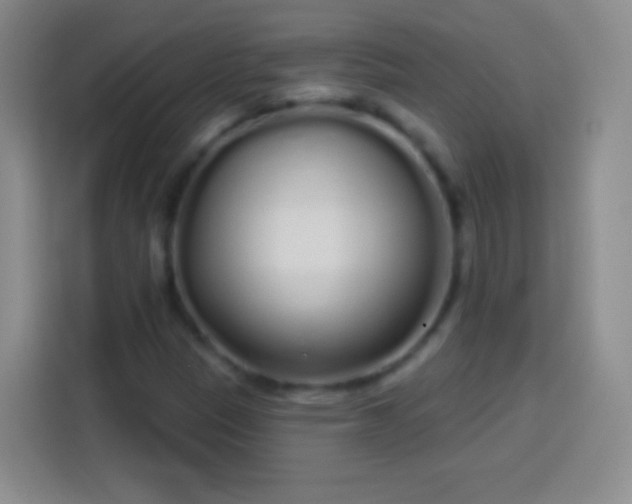 X0000113921305200910011504