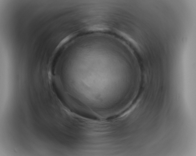 X0000113921306200910011504