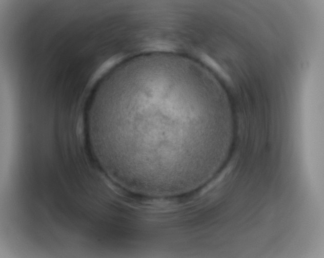 X0000113921307200910011504