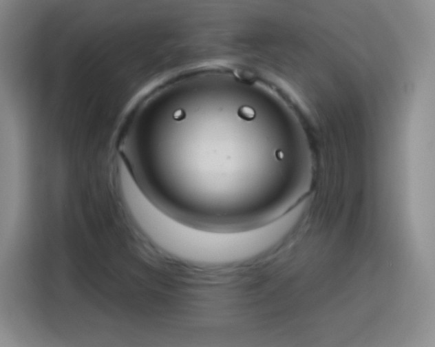 X0000113921308200910011504