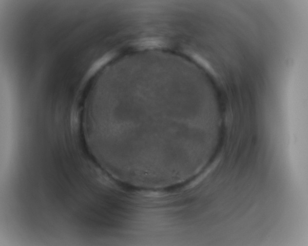 X0000113921309200910011504