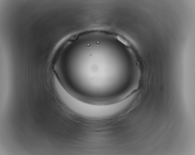 X0000113921310200910011504