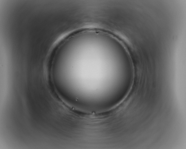 X0000113921311200910011504