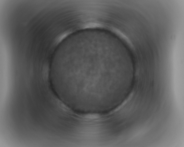 X0000113921313200910011504