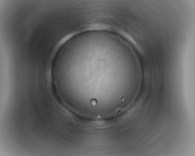 X0000113921315200910011504