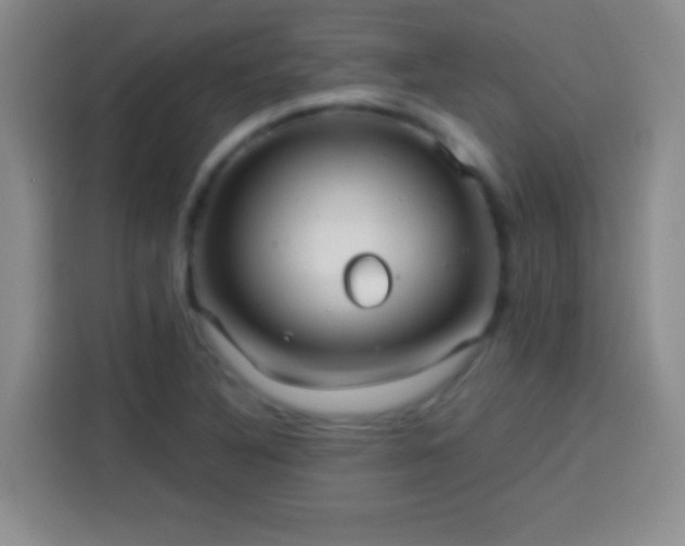 X0000113921316200910011504