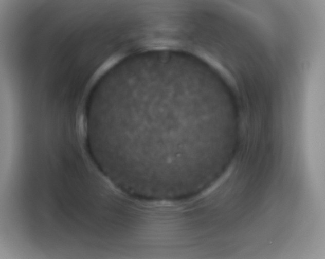 X0000113921317200910011504