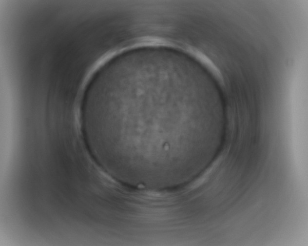 X0000113921318200910011504