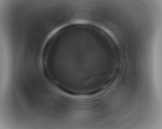 X0000113921319200910011504