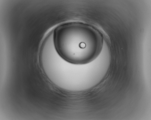 X0000113921320200910011504