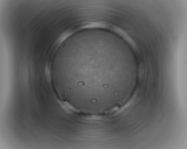 X0000113921321200910011504