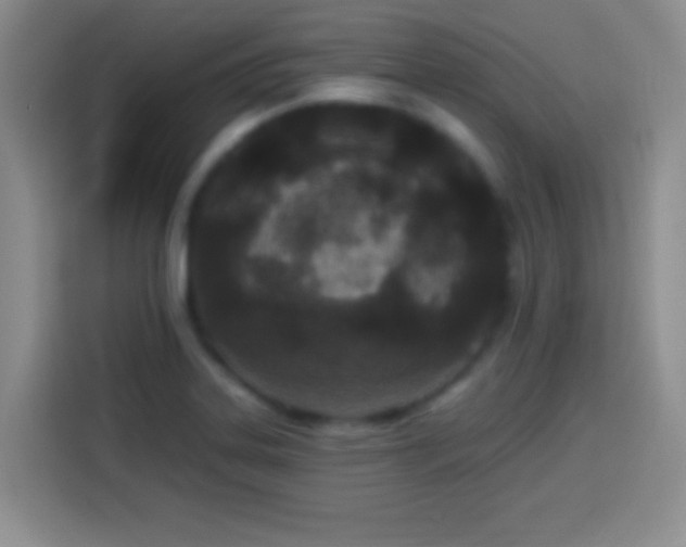 X0000113921323200910011504