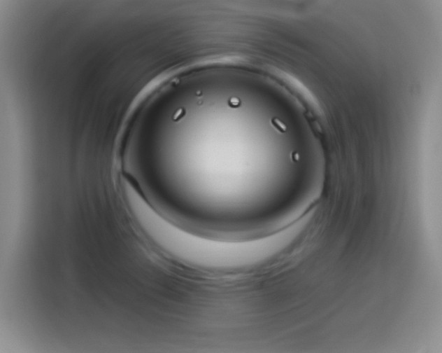 X0000113921324200910011504