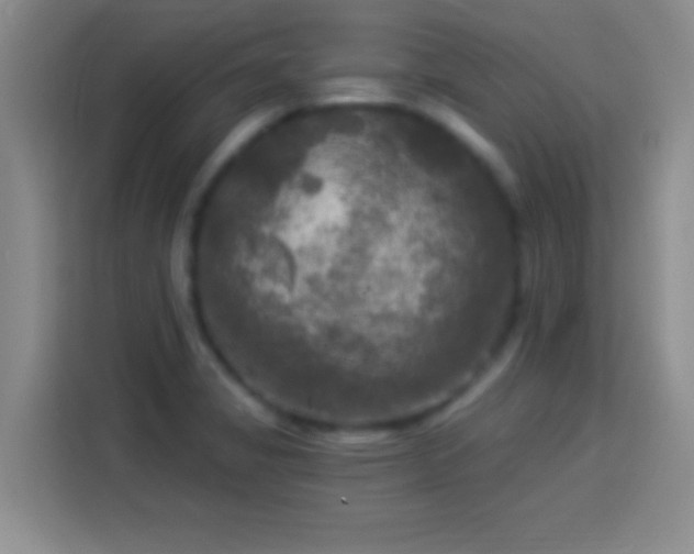 X0000113921325200910011504