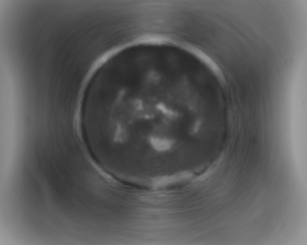 X0000113921327200910011504