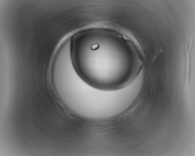 X0000113921328200910011504