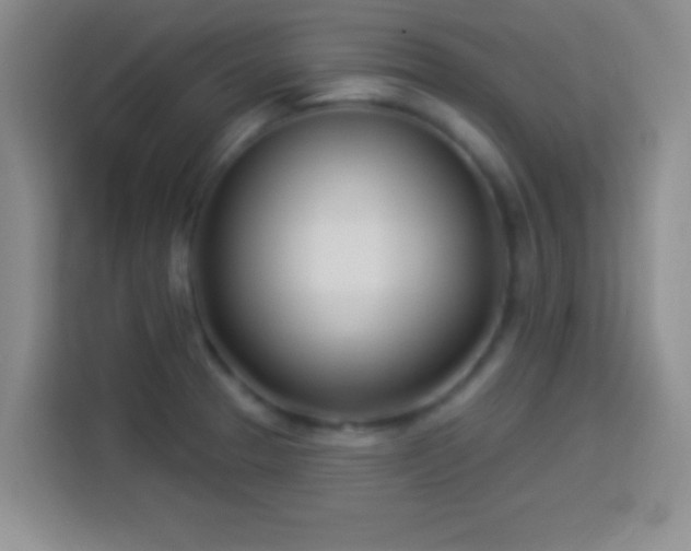 X0000113921329200910011504